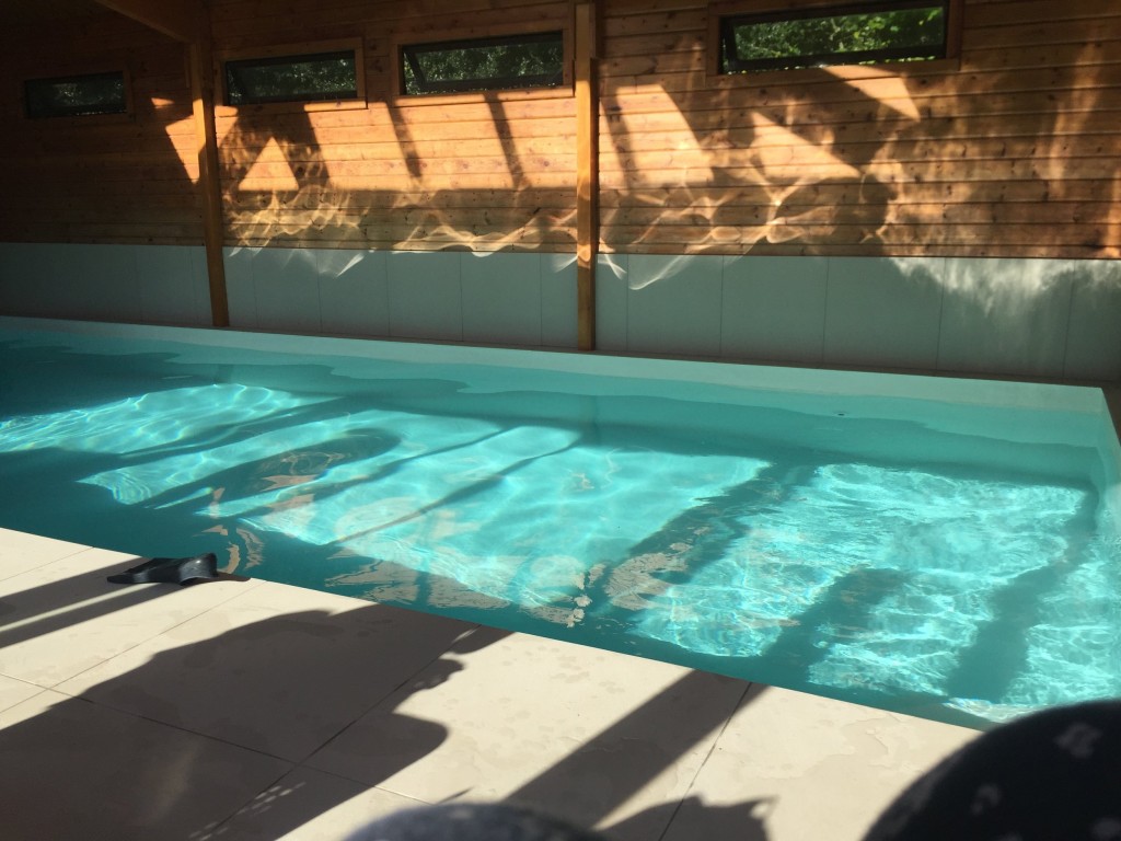 forest pool picture 2